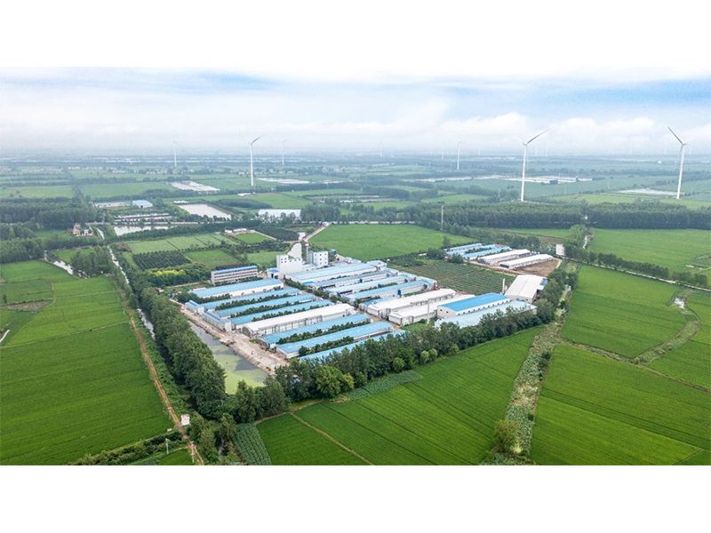 2023年中央一號文件出爐，畜禽產(chǎn)業(yè)應(yīng)抓住哪些新機遇？