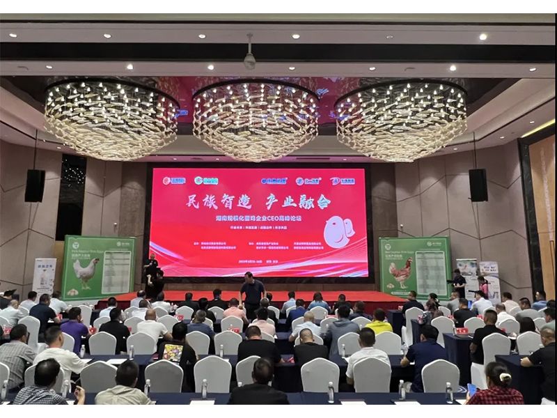 熱烈祝賀湖南規(guī)?；半u企業(yè)CEO高峰論壇取得圓滿成功！