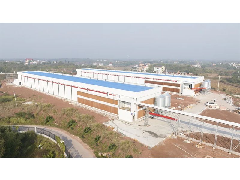 熱烈祝賀西南地區(qū)300萬羽蛋雞養(yǎng)殖基地驗收成功，上雞大吉！
